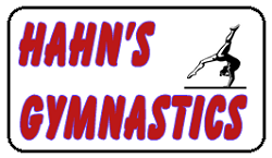 Hahns Gymnastics Asheville summer camps